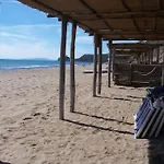In Pineta Di Roccamare 카스틸리오네 델라 페스카이아