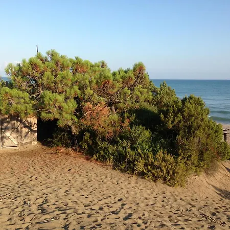 In Pineta Di Roccamare *